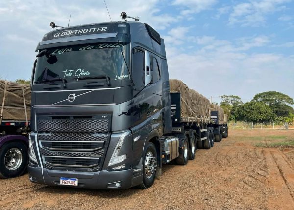 Firefly_melhore a qualidade dessa imagem 487299