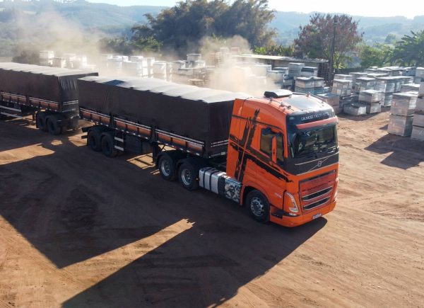 Fireflyorange