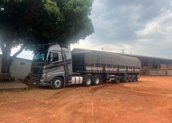 c63015c7-5473-4dd8-b6a1-fb24138df62b